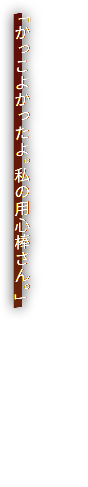 「かっこよかったよ。私の用心棒さん。」